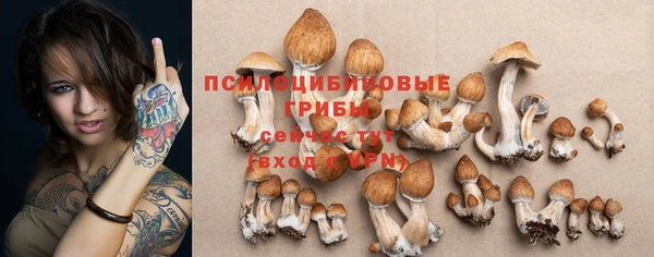 наркотики Горняк
